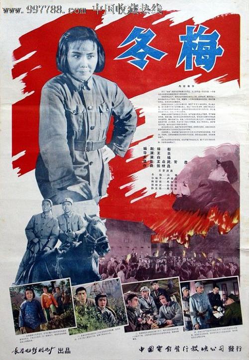 南科罗拉多大学 Media diploma